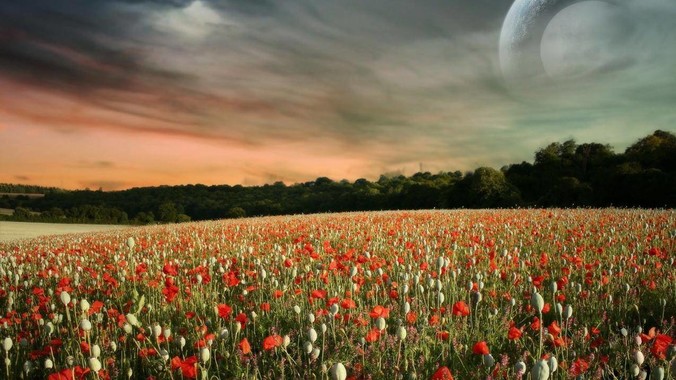 把贵州省撤销，设立一个超大型国家自然公园，是不是一个好的提法?